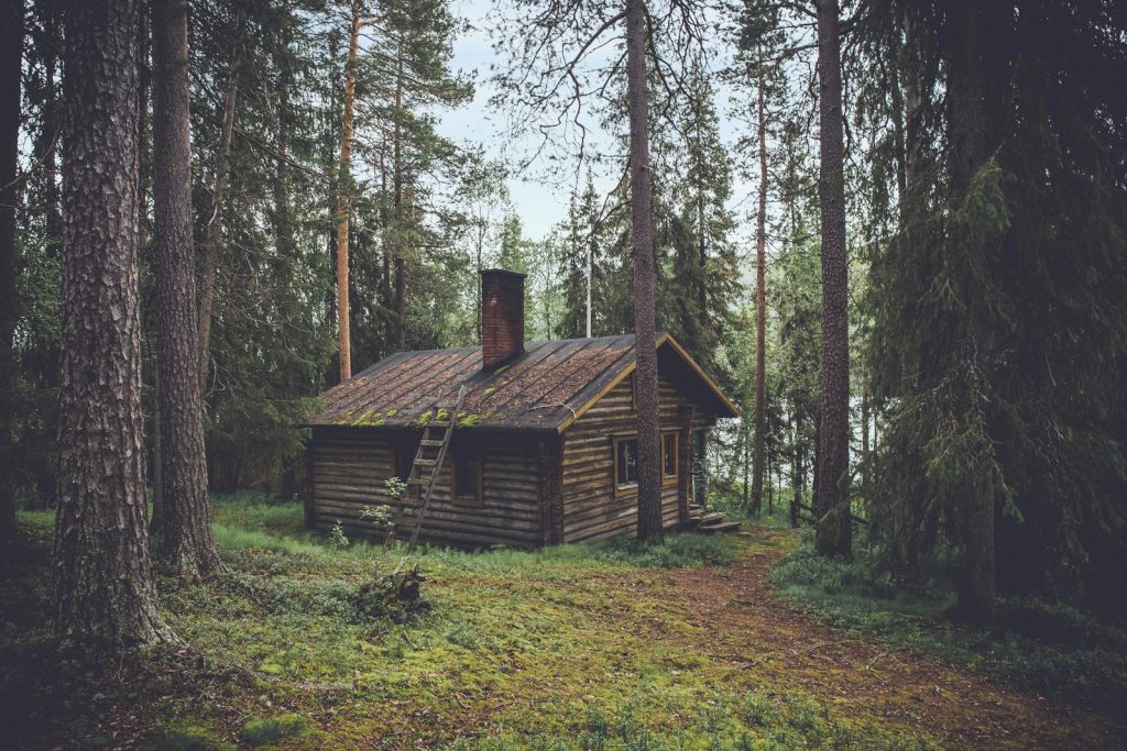Ordu Göl Bungalov