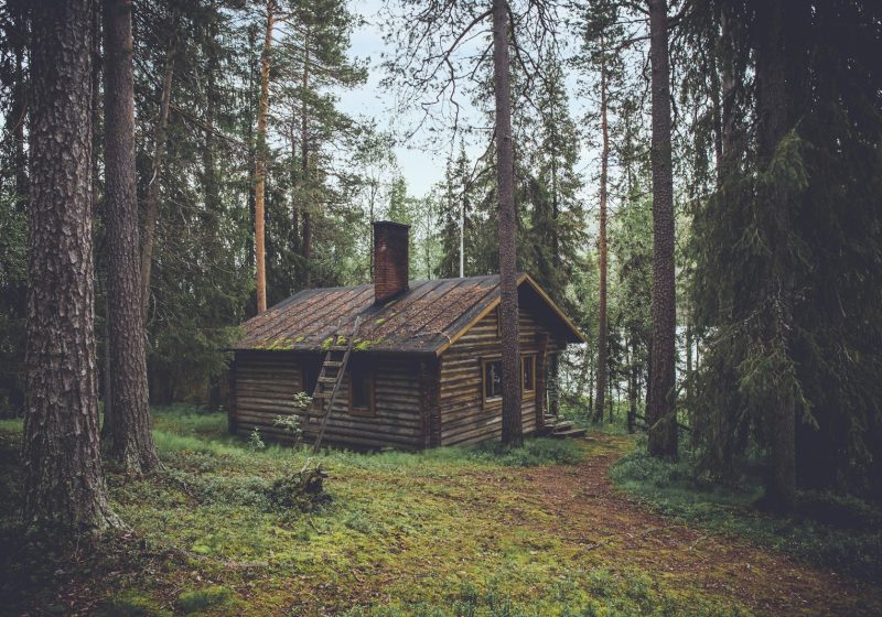 Rize Orman Bungalov