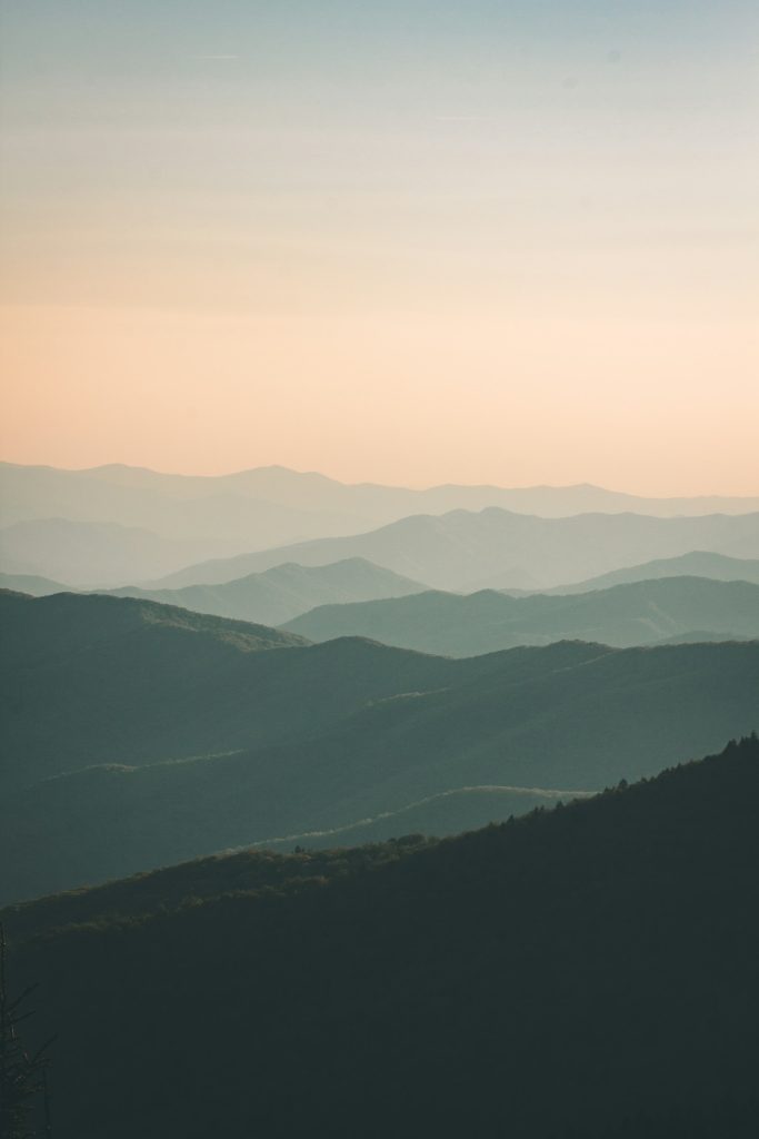 Artvin Orman Şelalesi